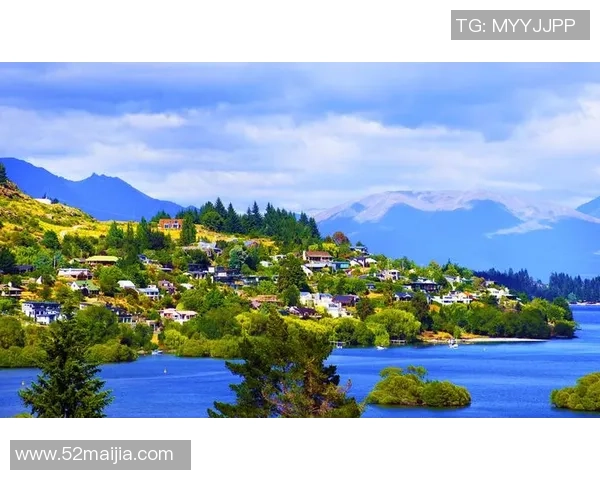 土耳其与新西兰篮球比赛场地全景解析与观赛指南