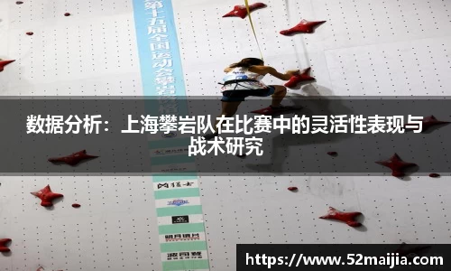 数据分析：上海攀岩队在比赛中的灵活性表现与战术研究